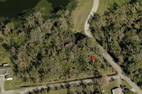 Land in Plant City, Florida № 2145338 - photo 6
