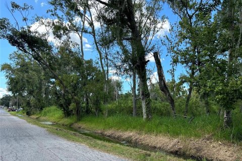 Land in Plant City, Florida № 2145338 - photo 2