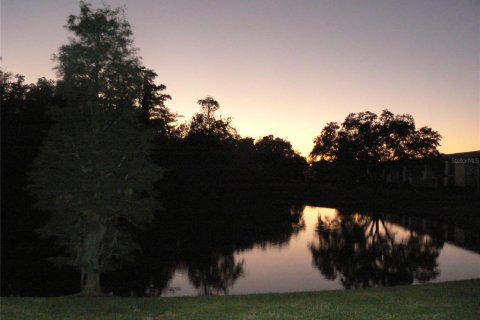 Condo in Oldsmar, Florida, 2 bedrooms  № 1717519 - photo 25