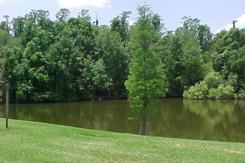 Condo in Oldsmar, Florida, 2 bedrooms  № 1717519 - photo 24