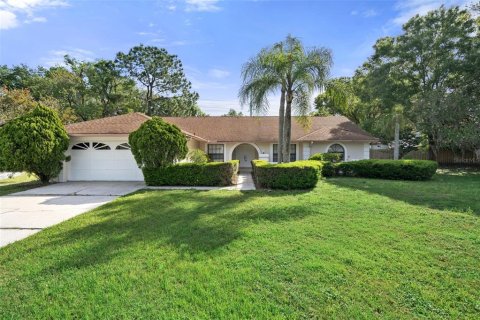 Villa ou maison à Tampa, Floride 4 chambres, 236.9 m2 № 2137730
