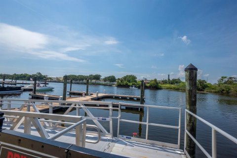 Land in Palm Coast, Florida № 1810780 - photo 13