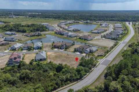 Land in Palm Coast, Florida № 1810780 - photo 29