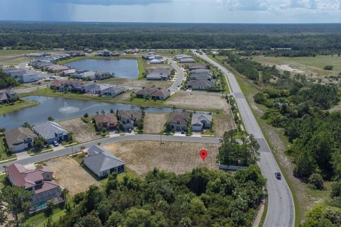 Land in Palm Coast, Florida № 1810780 - photo 30