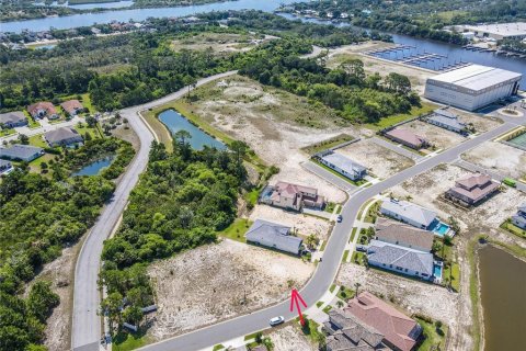 Land in Palm Coast, Florida № 1810780 - photo 3