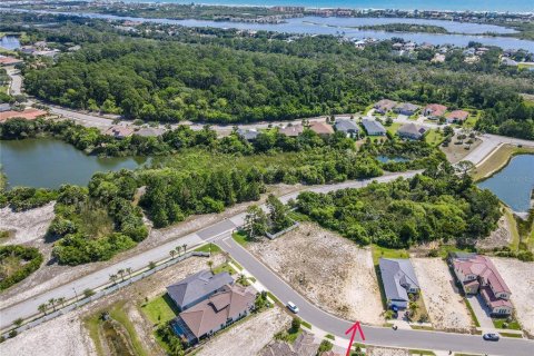 Land in Palm Coast, Florida № 1810780 - photo 4