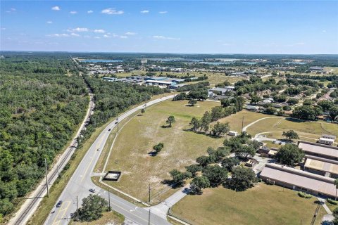 Land in Tavares, Florida № 2298929 - photo 8