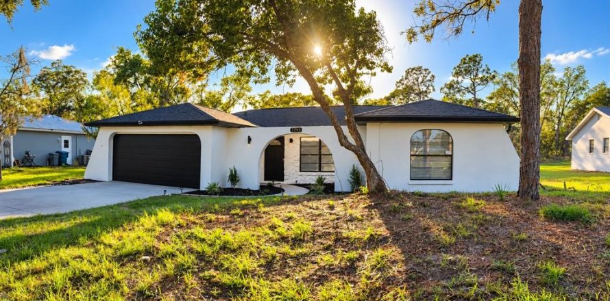 Villa ou maison à Weeki Wachee, Floride 3 chambres, 112.04 m2 № 2426025