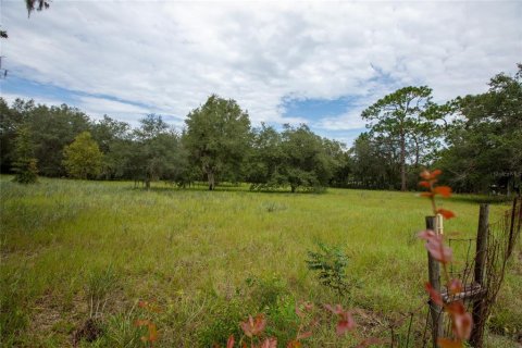 Villa ou maison à vendre à Keystone Heights, Floride: 3 chambres, 148.27 m2 № 2349641 - photo 3