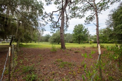 Villa ou maison à vendre à Keystone Heights, Floride: 3 chambres, 148.27 m2 № 2349641 - photo 5