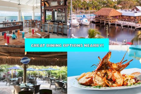 Снять в аренду коммерческую недвижимость в Ки-Ларго, Флорида 74.32м2, № 1945149 - фото 3