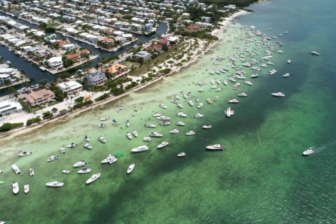 Снять в аренду коммерческую недвижимость в Ки-Ларго, Флорида 74.32м2, № 1945149 - фото 17