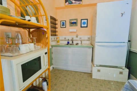 Снять в аренду коммерческую недвижимость в Ки-Ларго, Флорида 74.32м2, № 1945149 - фото 12