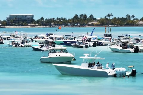 Снять в аренду коммерческую недвижимость в Ки-Ларго, Флорида 74.32м2, № 1945149 - фото 6