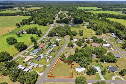 Land in Brooker, Florida № 2215325 - photo 7