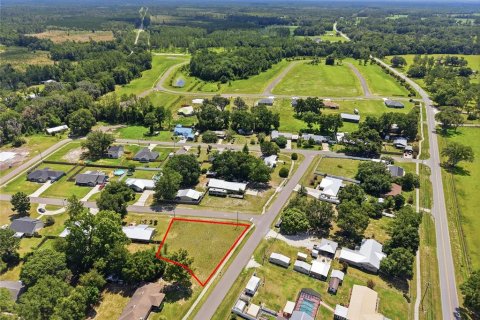 Land in Brooker, Florida № 2215325 - photo 3