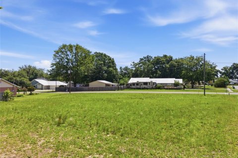 Land in Brooker, Florida № 2215325 - photo 6