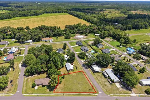 Land in Brooker, Florida № 2215325 - photo 2
