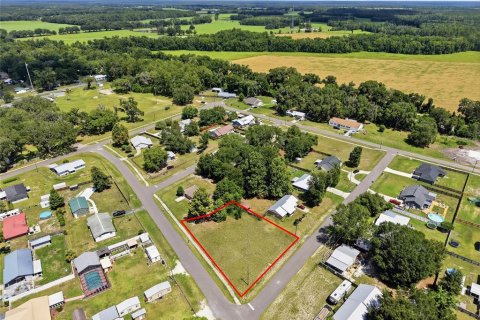 Land in Brooker, Florida № 2215325