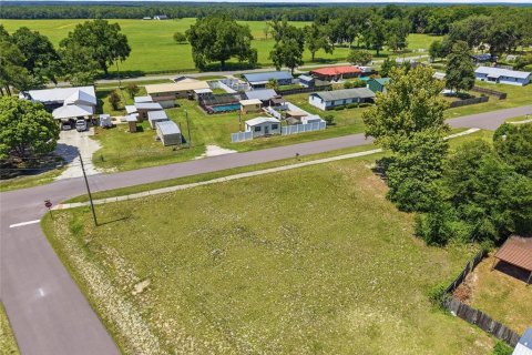 Land in Brooker, Florida № 2215325 - photo 5