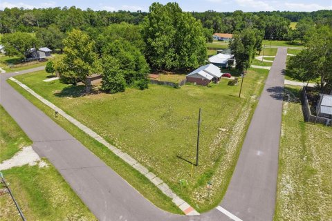 Land in Brooker, Florida № 2215325 - photo 4