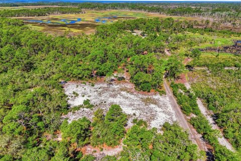 Terrain à vendre à Cedar Key, Floride № 2208407 - photo 6