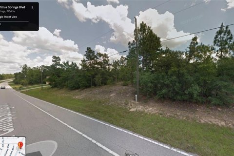 Land in Citrus Springs, Florida № 2164624 - photo 2