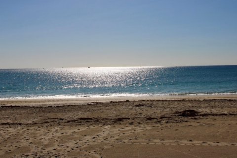 Propiedad comercial en alquiler en Ocean Ridge, Florida, 2 dormitorios, 94.3 m2 № 1146677 - foto 1