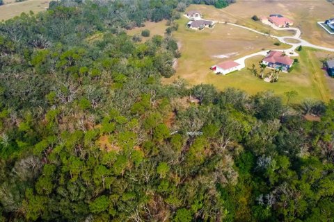 Casa en venta en Parrish, Florida, 4 dormitorios, 459.4 m2 № 1551535 - foto 5
