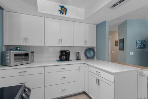 Casa en venta en Hernando, Florida, 2 dormitorios, 171.4 m2 № 2216251 - foto 13
