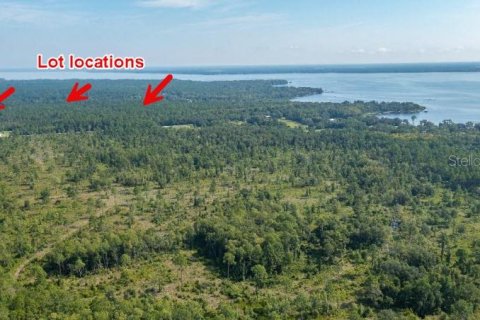 Land in Palatka, Florida № 2232502 - photo 4