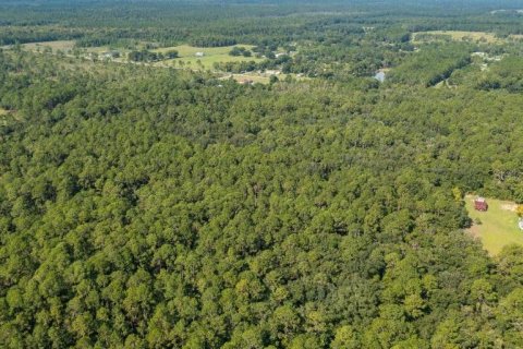 Land in Palatka, Florida № 2232502 - photo 5