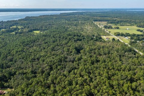 Land in Palatka, Florida № 2232502 - photo 6