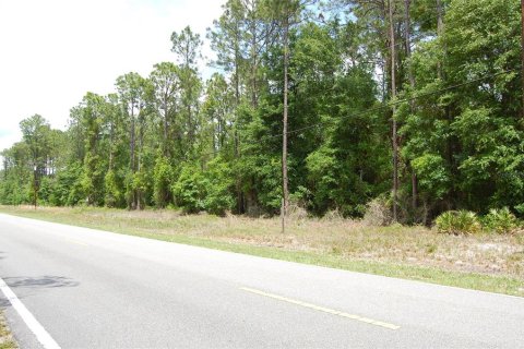 Terrain à Palatka, Floride № 2232502