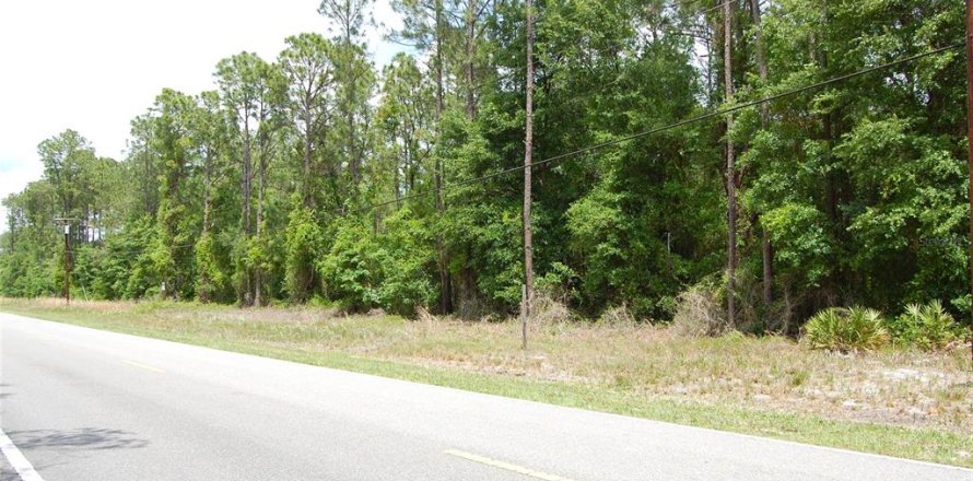 Land in Palatka, Florida № 2232502