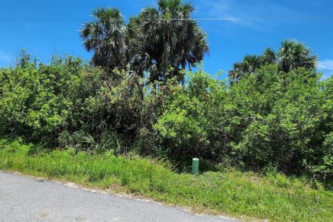 Land in Rotonda, Florida № 2164171 - photo 8