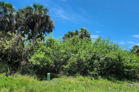 Land in Rotonda, Florida № 2164171 - photo 5