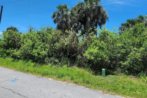 Land in Rotonda, Florida № 2164171 - photo 7