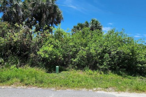 Land in Rotonda, Florida № 2164171 - photo 9