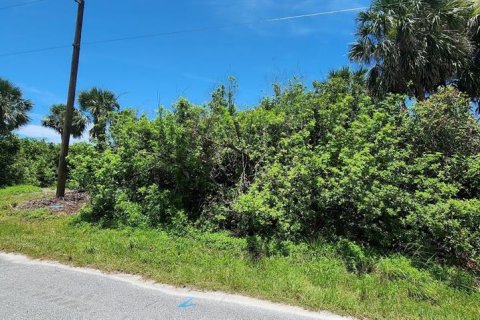 Land in Rotonda, Florida № 2164171 - photo 4