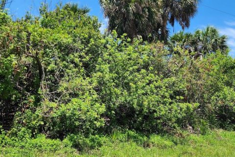 Land in Rotonda, Florida № 2164171 - photo 2