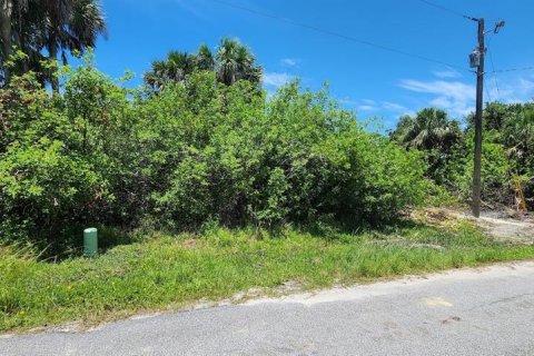 Land in Rotonda, Florida № 2164171 - photo 6