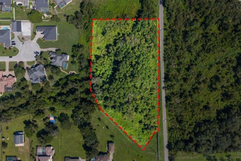 Land in Lakeland, Florida № 2379759 - photo 2