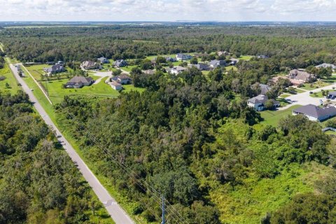 Land in Lakeland, Florida № 2379759 - photo 6