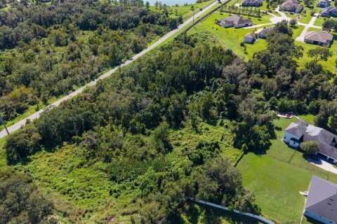Land in Lakeland, Florida № 2379759 - photo 9