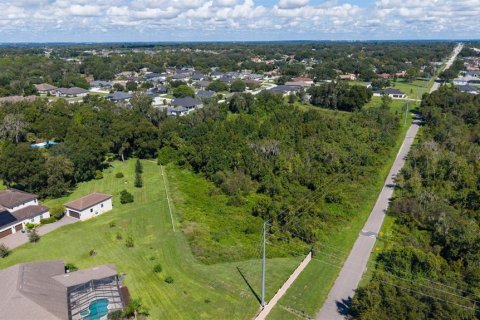 Land in Lakeland, Florida № 2379759 - photo 3
