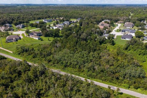 Land in Lakeland, Florida № 2379759 - photo 5
