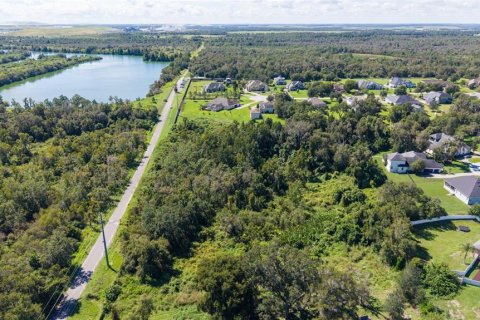 Land in Lakeland, Florida № 2379759 - photo 7