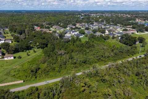 Land in Lakeland, Florida № 2379759 - photo 12