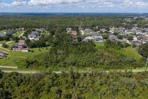 Land in Lakeland, Florida № 2379759 - photo 4